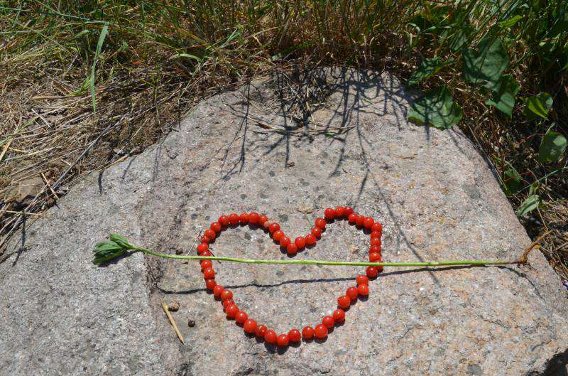 沃富新能源---沃富大聲的對沃富家人說：愛你們！